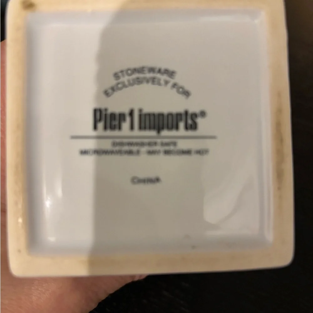 Pier 1 Imports Stoneware Dish